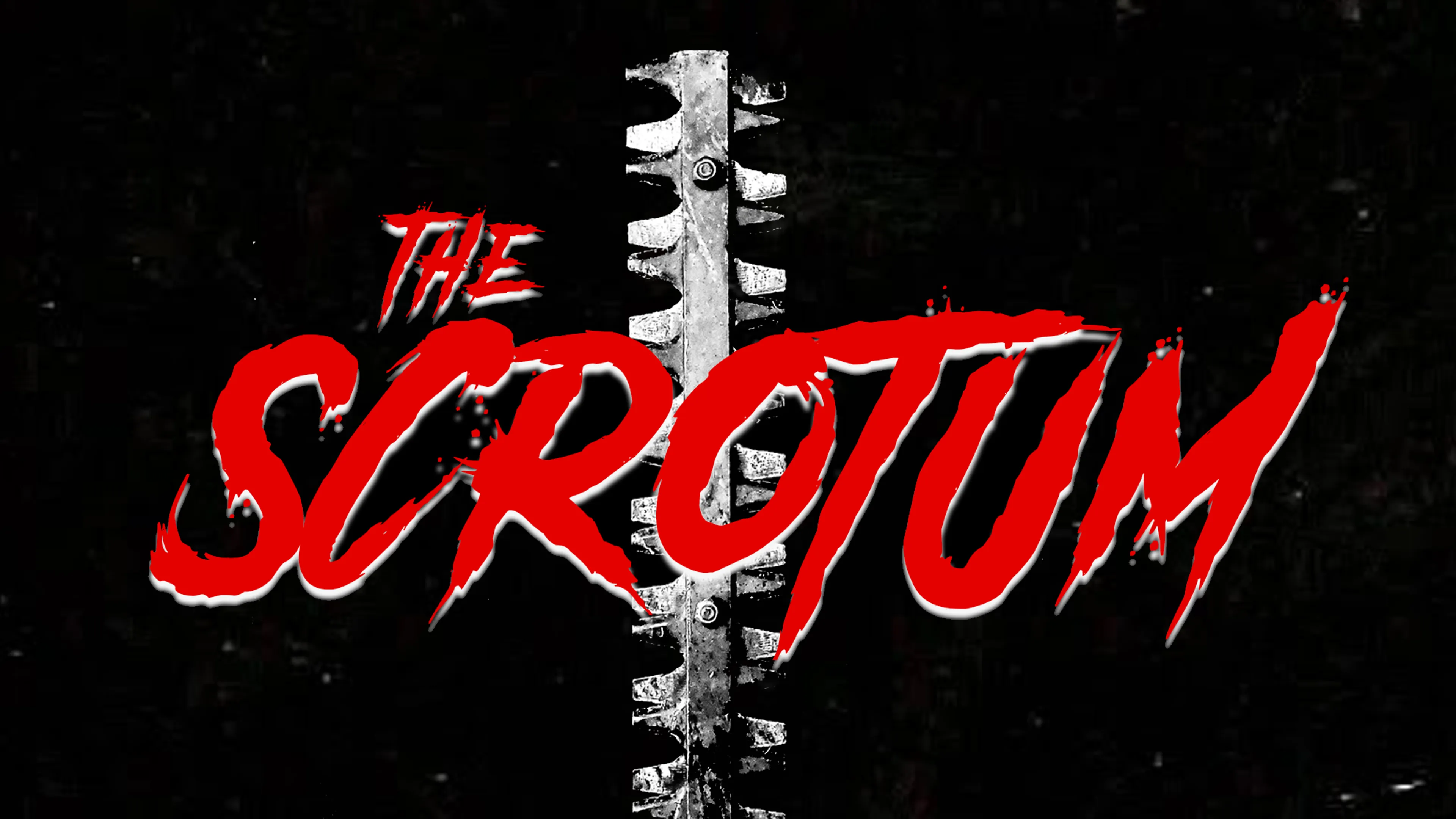 The Scrotum poster